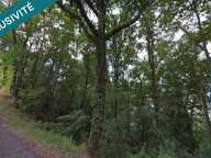 Terrain paisible de 4 591 m² au cœur de la nature — photo 2