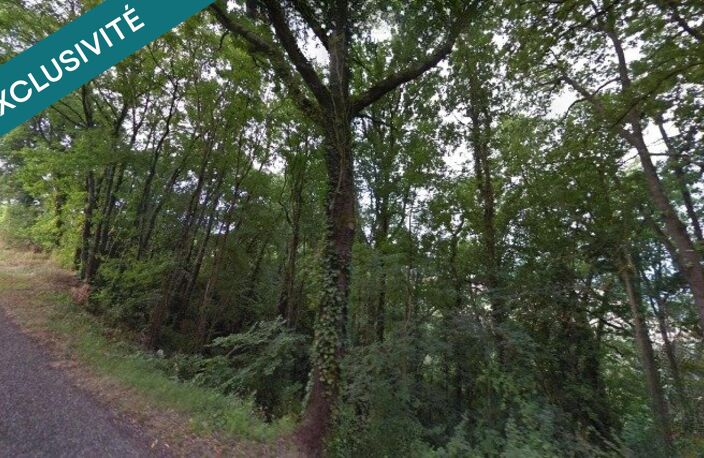 Terrain paisible de 4 591 m² au cœur de la nature — photo 2