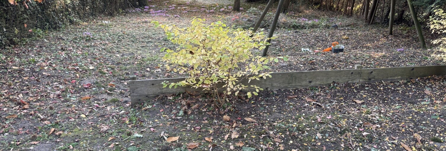 Maison 7 Pièces 165 m² à vendre à Montfort-l'Amaury (78490)