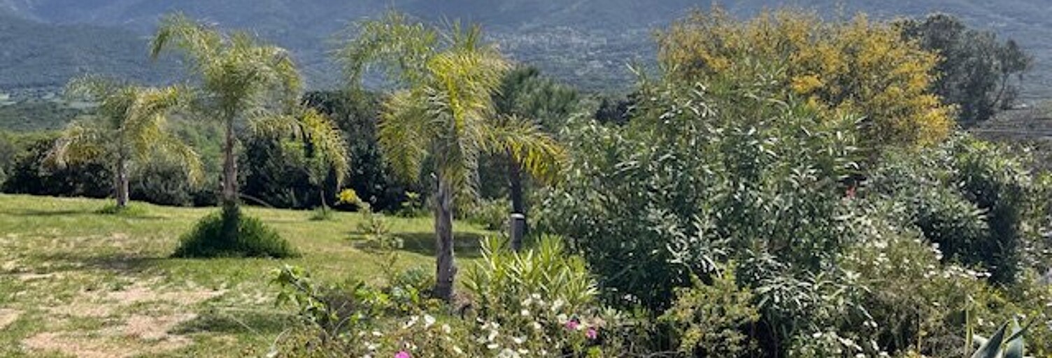 Maison 5 Pièces 132 m² à vendre à Calcatoggio (20111)