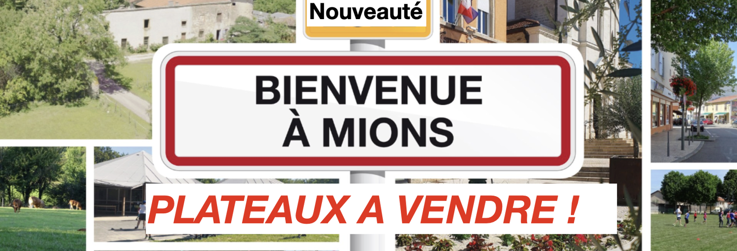 Appartement 2 Pièces 36 m² à vendre à Mions (69780)