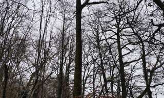 Terrain  29105 m² à vendre à La Chapelotte (18250)