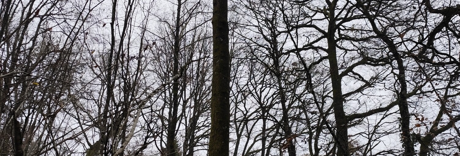 Terrain  29105 m² à vendre à La Chapelotte (18250)