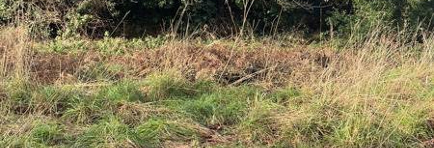 Terrain  891 m² à vendre à Gouesnou (29850)