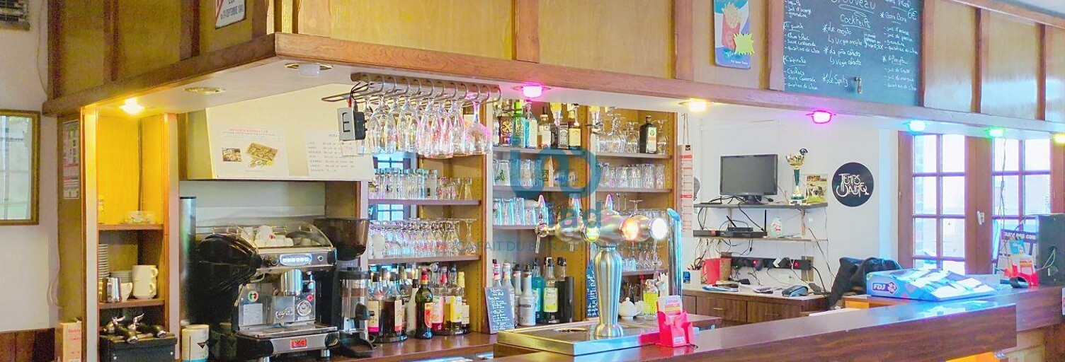 Commerce  360 m² à vendre à Saint-Martin-sur-Ocre (45500)