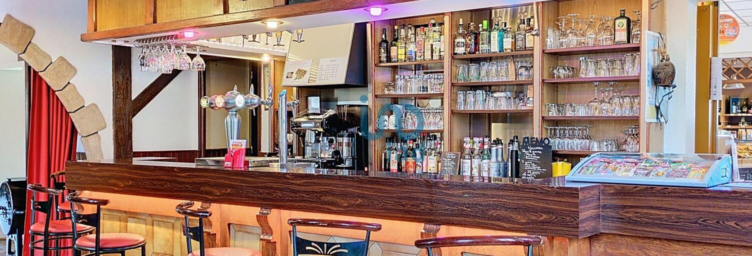 Commerce  360 m² à vendre à Saint-Martin-sur-Ocre (45500)