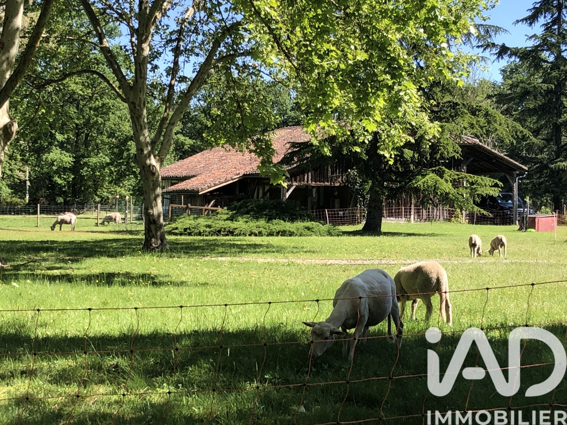 Maison à vendre, 8 pièces, 170 m², Luxey