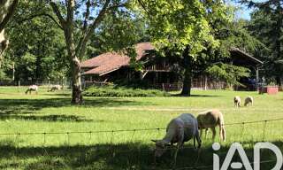 Maison 8 Pièces 170 m² à vendre à Luxey (40430)