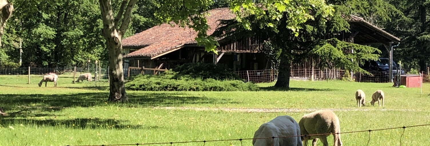 Maison 8 Pièces 170 m² à vendre à Luxey (40430)