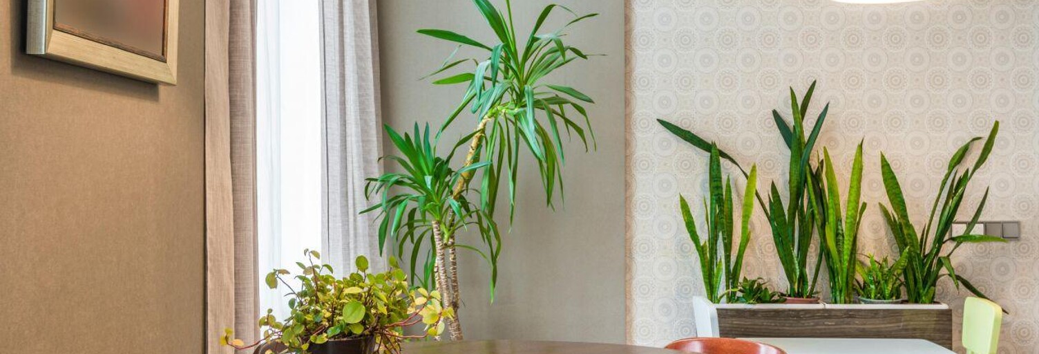 Appartement 3 Pièces 57 m² à vendre à Sainte-Catherine (62223)