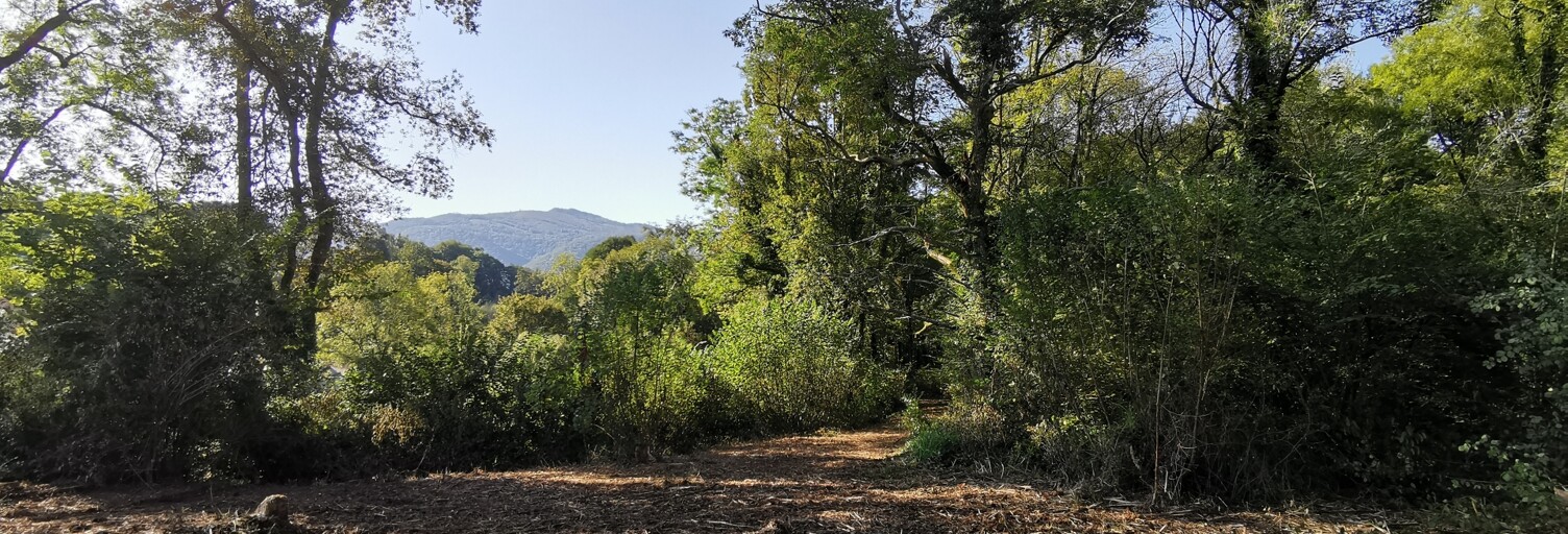 Terrain  3045 m² à vendre à Eysus (64400)