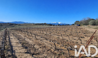 Terrain  9187 m² à vendre à Bages (66670)