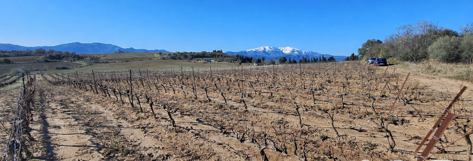 Terrain  9187 m² à vendre à Bages (66670)