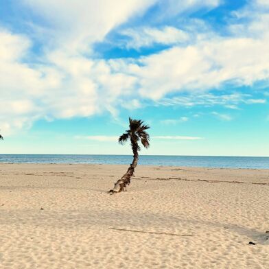 Maison 3 pièces 148000 €