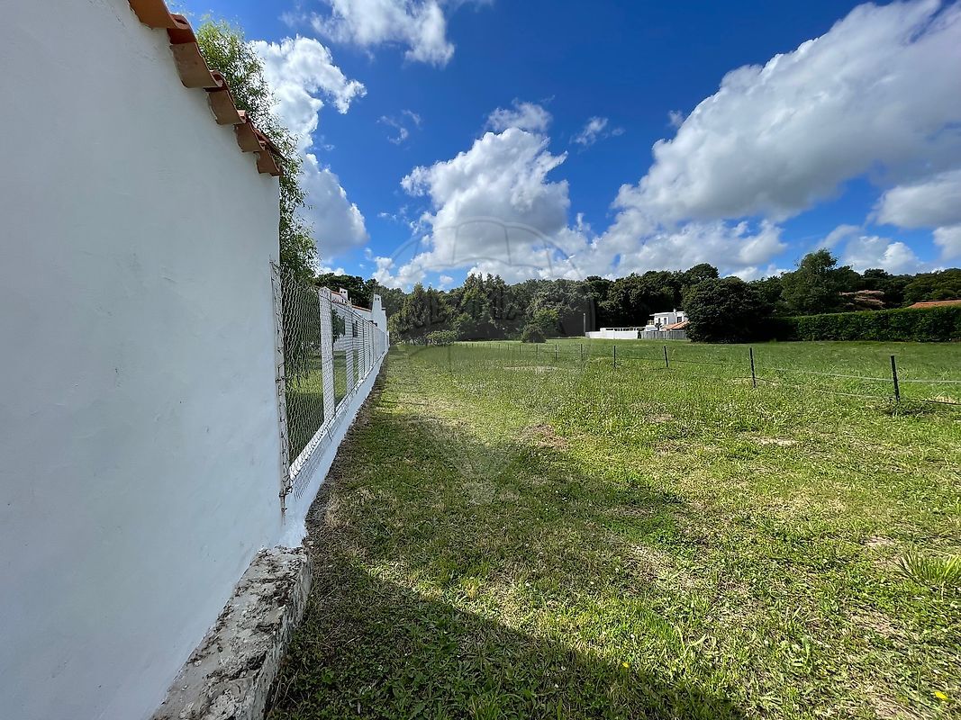 Saint-Palais-sur-Mer Terrain 504 m²