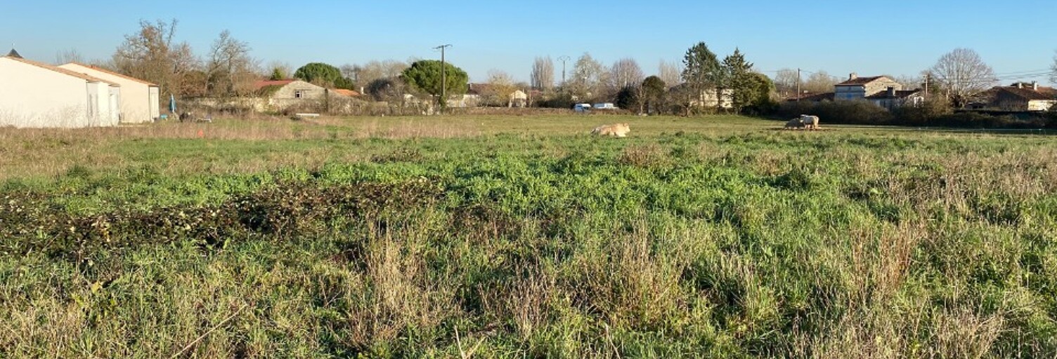 Terrain  686 m² à vendre à Saint-Savinien (17350)