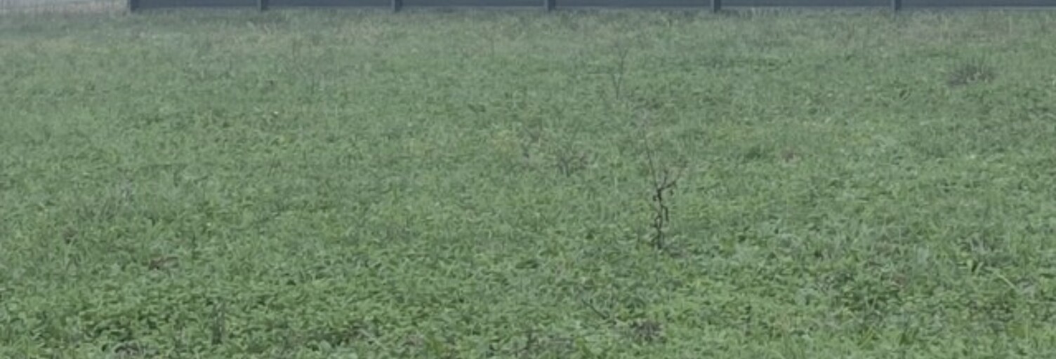 Terrain  1081 m² à vendre à Monségur (33580)