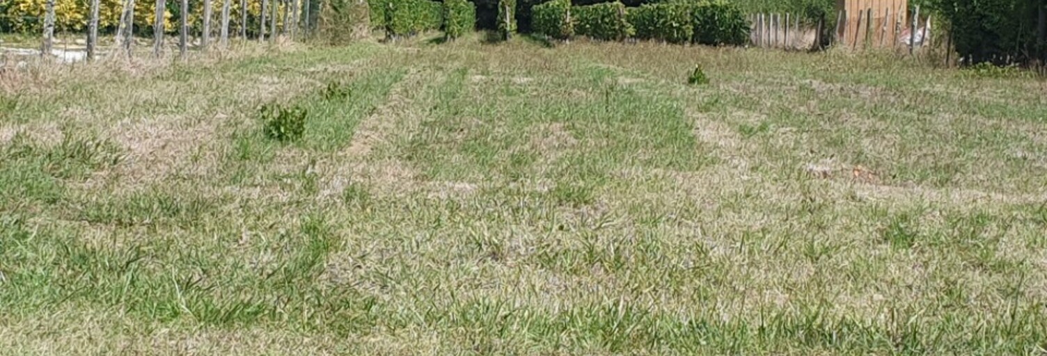 Terrain  500 m² à vendre à Périssac (33240)