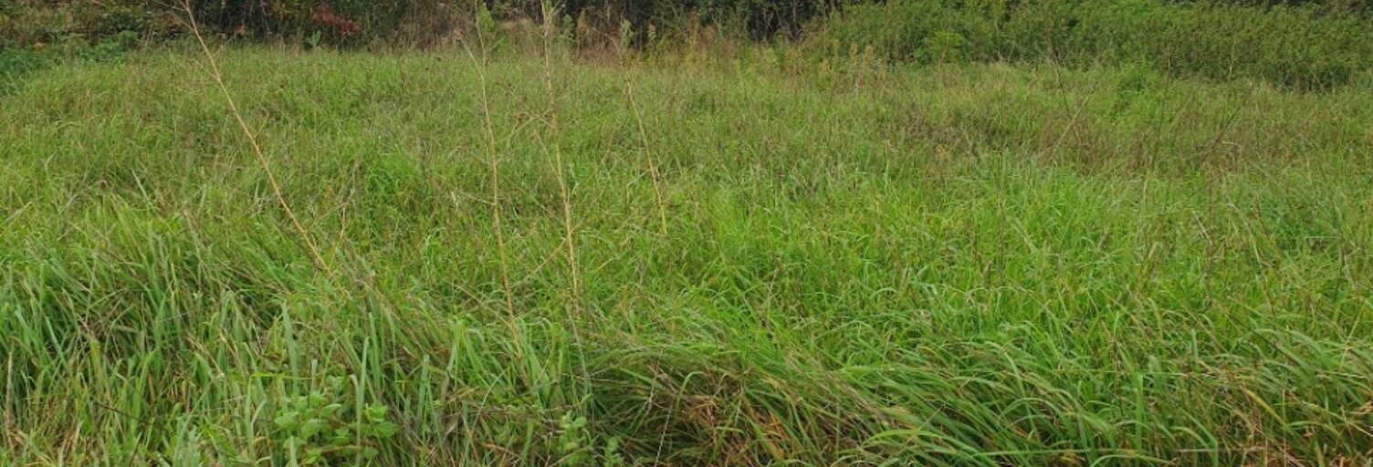 Terrain  950 m² à vendre à Bonzac (33910)