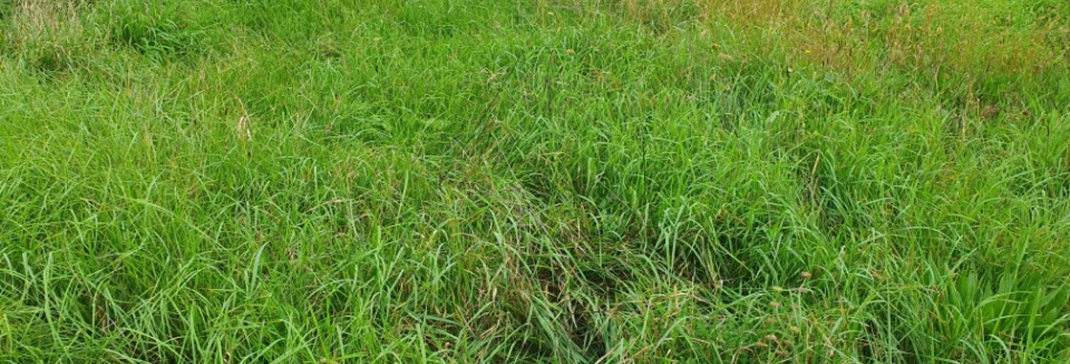 Terrain  500 m² à vendre à Saint-Genès-de-Fronsac (33240)