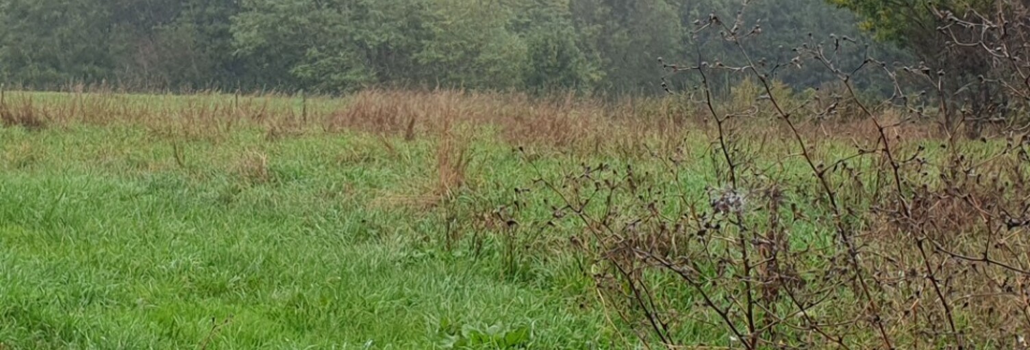 Terrain  730 m² à vendre à Tizac-de-Lapouyade (33620)