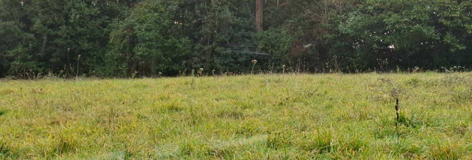 Terrain  730 m² à vendre à Tizac-de-Lapouyade (33620)