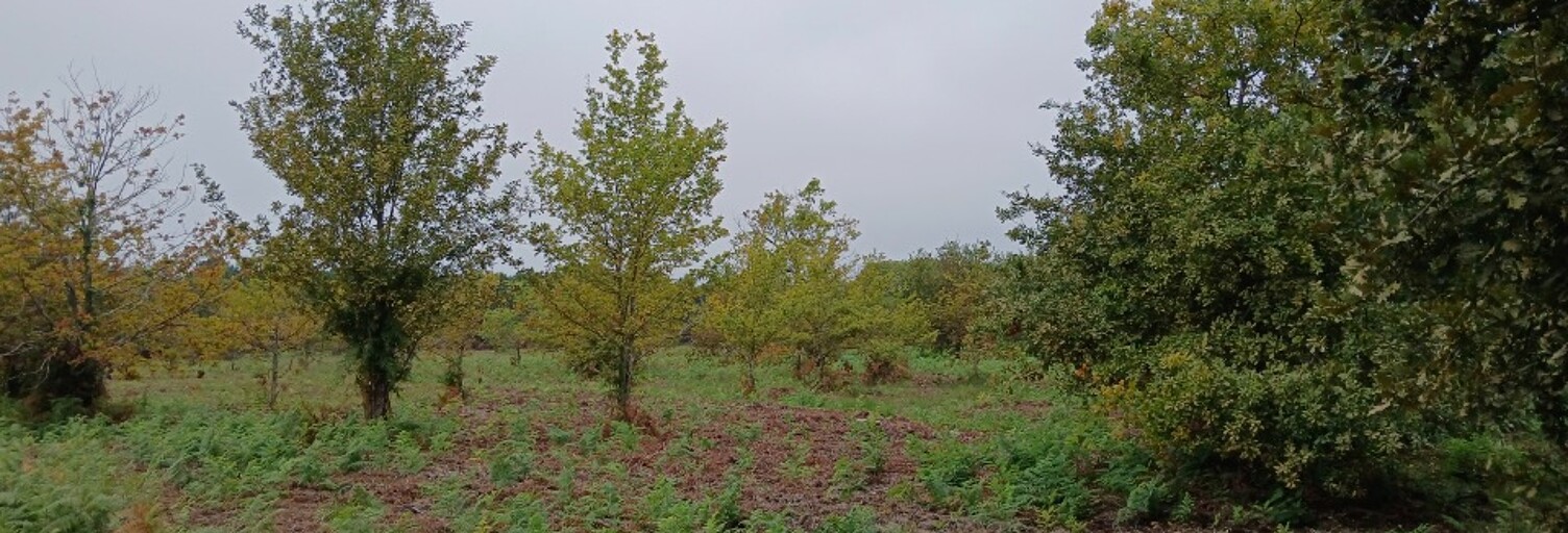 Terrain  400 m² à vendre à Parentis-en-Born (40160)