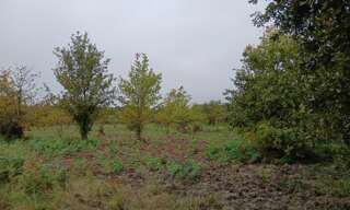 Terrain  341 m² à vendre à Sainte-Eulalie-en-Born (40200)