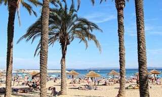 Maison 5 Pièces 171 m² à vendre à Le Lavandou (83980)