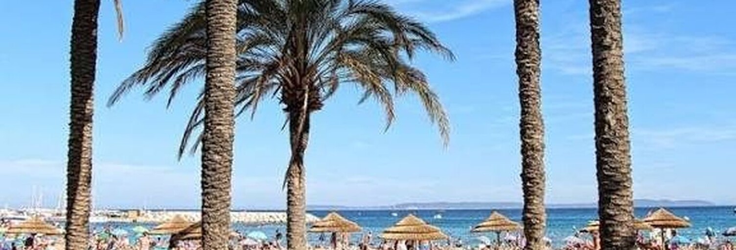 Maison 5 Pièces 171 m² à vendre à Le Lavandou (83980)