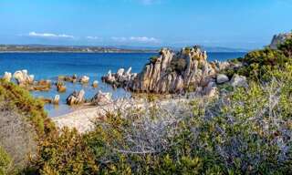 Appartement 2 Pièces 39 m² à vendre à Pianottoli-Caldarello (20131)