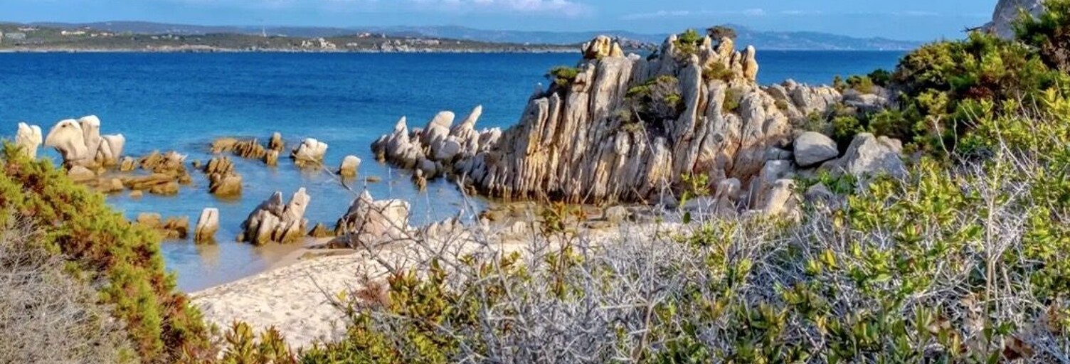 Appartement 2 Pièces 39 m² à vendre à Pianottoli-Caldarello (20131)