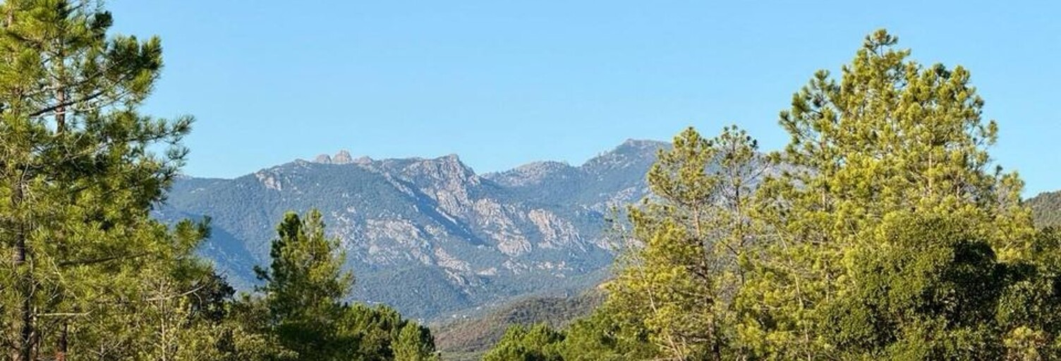 Maison 4 Pièces 85 m² à vendre à Porto-Vecchio (20137)