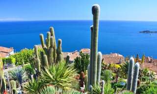 Appartement 4 Pièces 155 m² à vendre à Èze (06360)