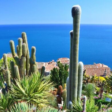 Appartement 4 pièces 3250000 €