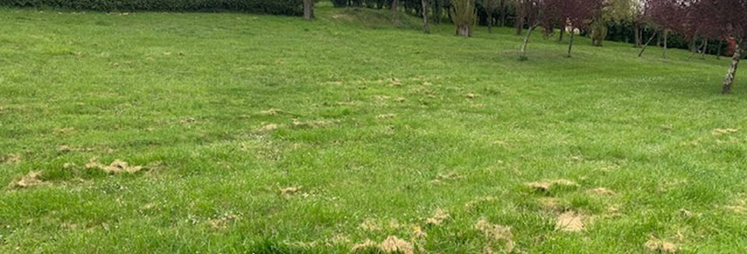 Terrain  500 m² à vendre à Montastruc-la-Conseillère (31380)