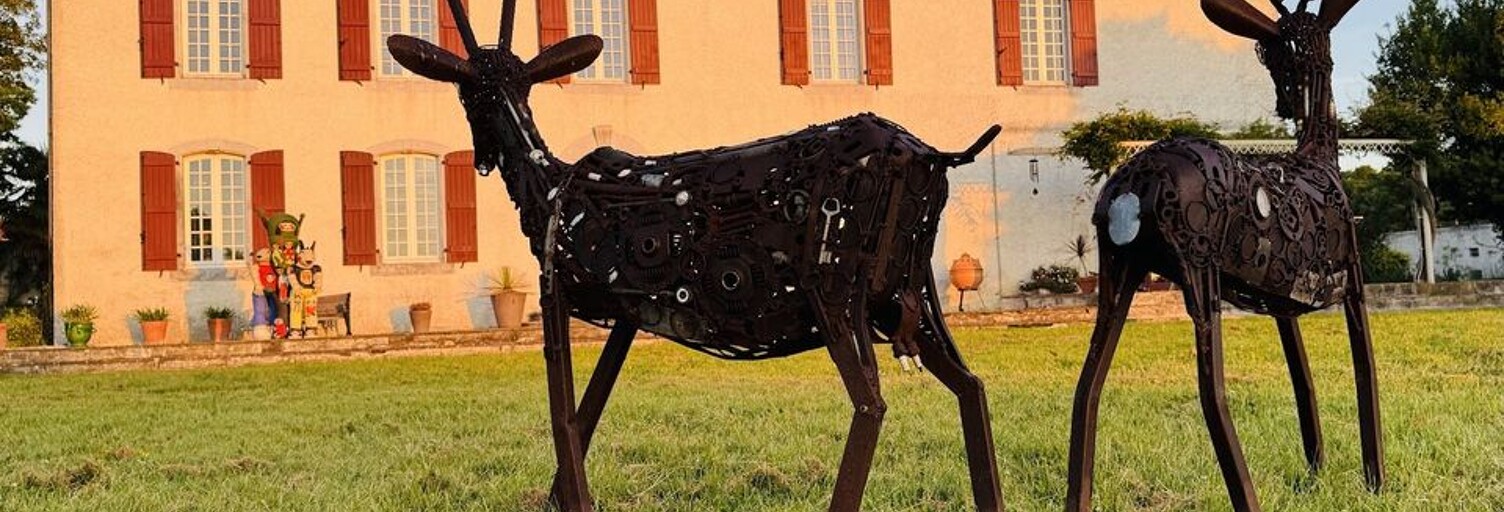 Maison 8 Pièces 365 m² à vendre à Tarbes (65000)