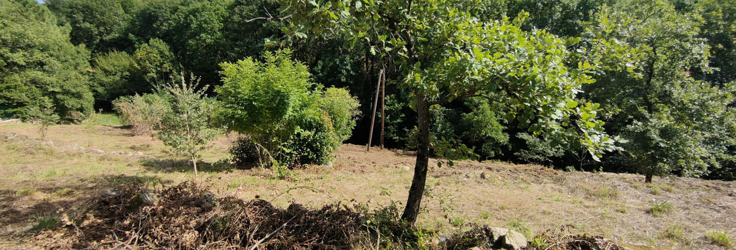 Terrain  4137 m² à vendre à Mercuer (07200)