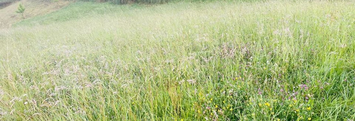 Terrain  1126 m² à vendre à Urcuit (64990)