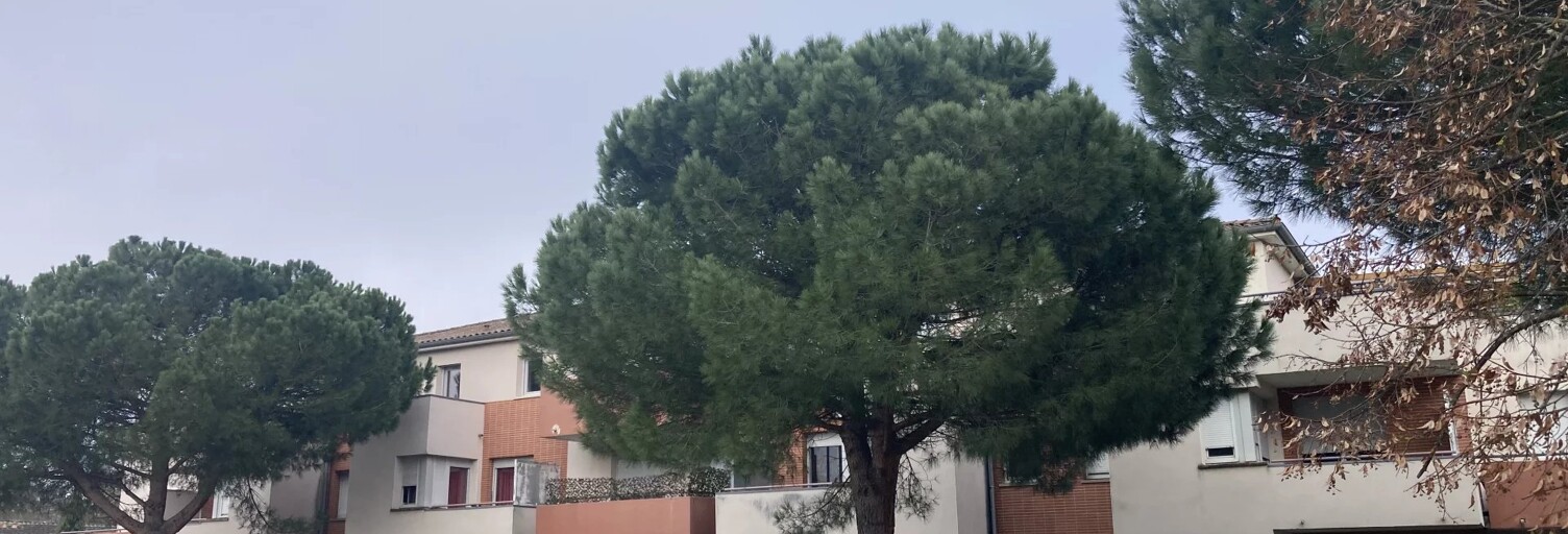 Appartement 2 Pièces 48 m² à vendre à Fonbeauzard (31140)