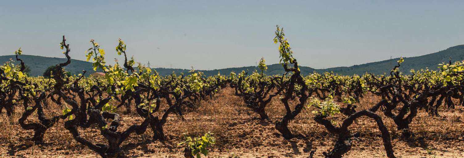 Maison 7 Pièces 360 m² à vendre à Bordeaux (33000)