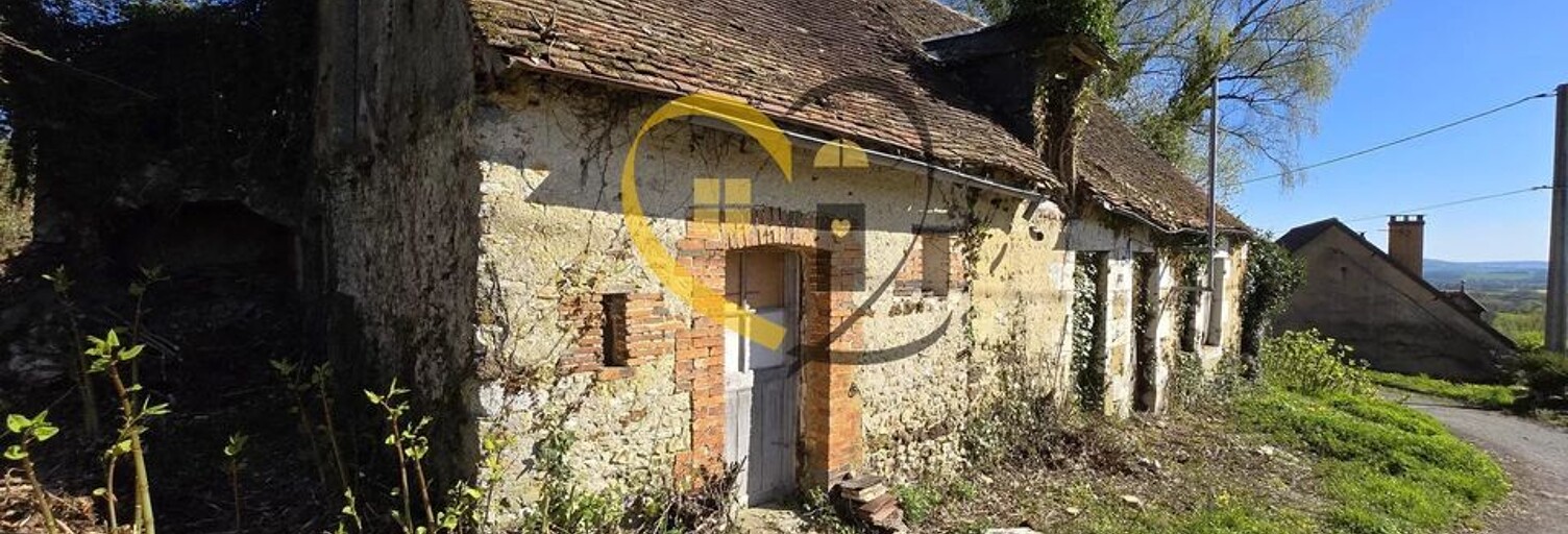 Maison 3 Pièces 120 m² à vendre à Neuvy-Deux-Clochers (18250)