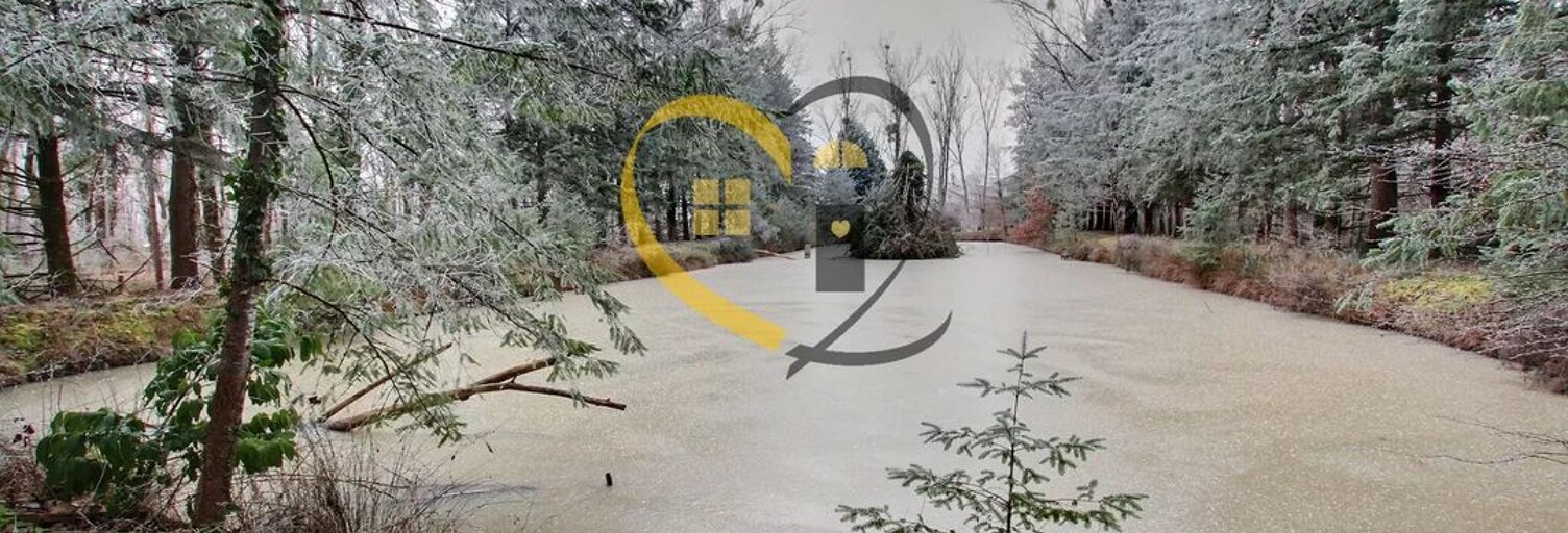 Commerce  10477 m² à vendre à Romorantin-Lanthenay (41200)