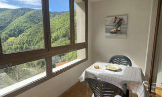 Appartement 1 Pièce 23 m² à vendre à Prats-de-Mollo-la-Preste (66230)