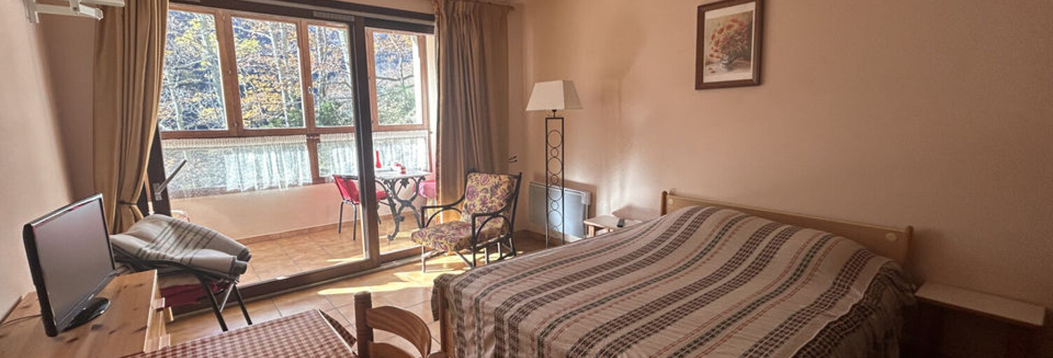 Appartement 1 Pièce 24 m² à vendre à Prats-de-Mollo-la-Preste (66230)