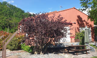 Maison 6 Pièces 121 m² à vendre à Prats-de-Mollo-la-Preste (66230)