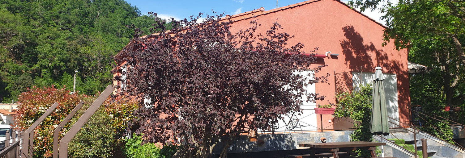 Maison 6 Pièces 121 m² à vendre à Prats-de-Mollo-la-Preste (66230)