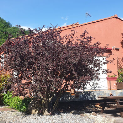 Maison 6 pièces 295000 €