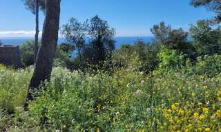 Terrain  1449 m² à vendre à La Turbie (06320)