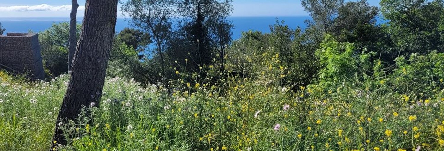 Terrain  1449 m² à vendre à La Turbie (06320)